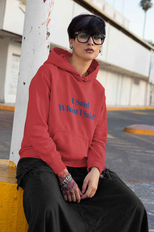 I Said What I Said Hoodie — Minimal Calm Graphic Pullover